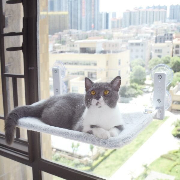Cat Suction Cup Window Glass Hammock - Image 4