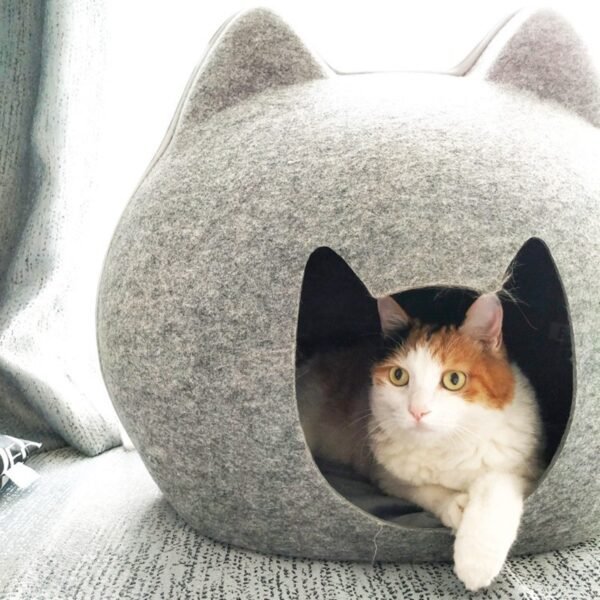 Cat Litter Enclosed - Image 5