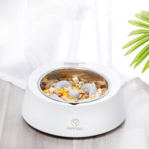 Pet Dog Bowl Slow Feeder