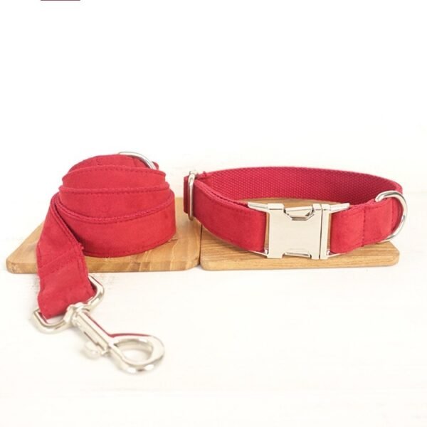 Pet Traction Collar Dog Collar - Image 7