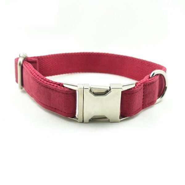 Pet Traction Collar Dog Collar - Image 4