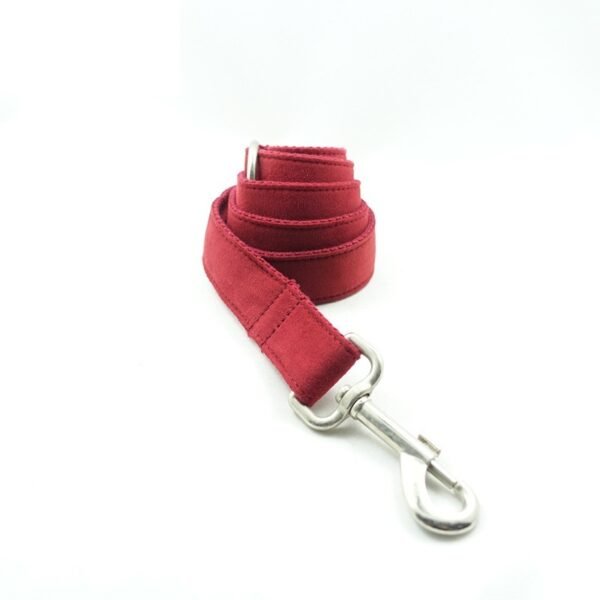 Pet Traction Collar Dog Collar - Image 9