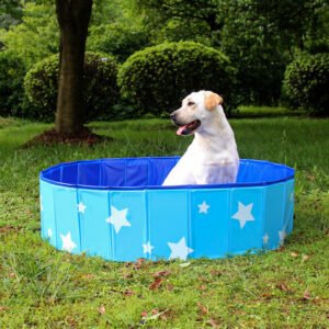 PVC Folding Bathtub Dog Bathtub