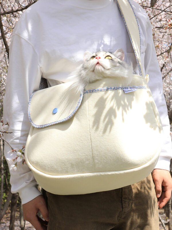 Korea Purchasing Cat Bags - Image 3