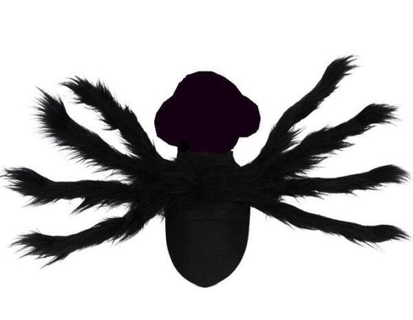 Halloween Costume Pet - Image 7