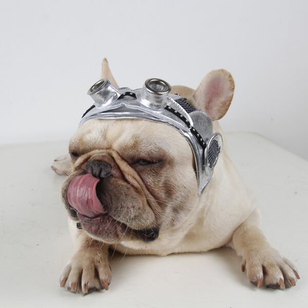 Pet Products Party Dress Fight - Image 4
