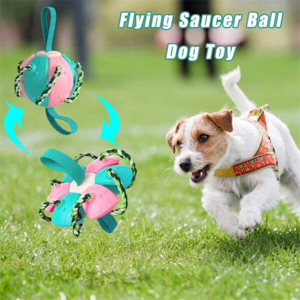 Interactive Dog Football Soccer Ball - Image 3