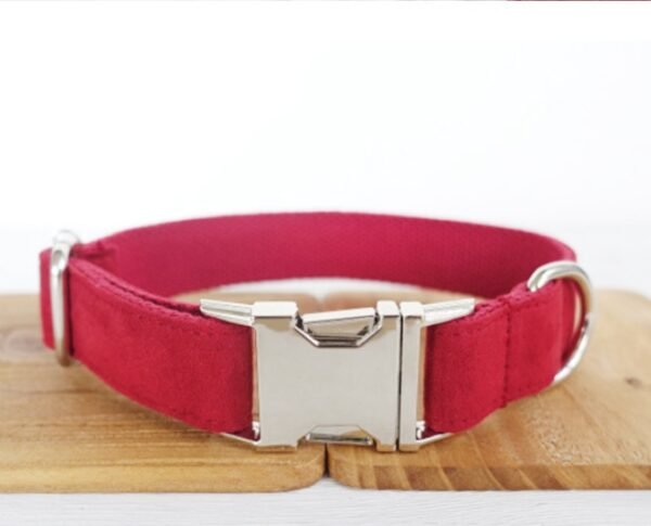 Pet Traction Collar Dog Collar - Image 3