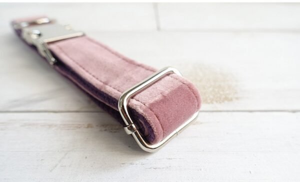 Pet Traction Collar Dog Collar - Image 5