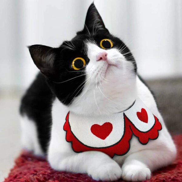 Pet collar - Image 3