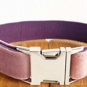 Pet Traction Collar Dog Collar