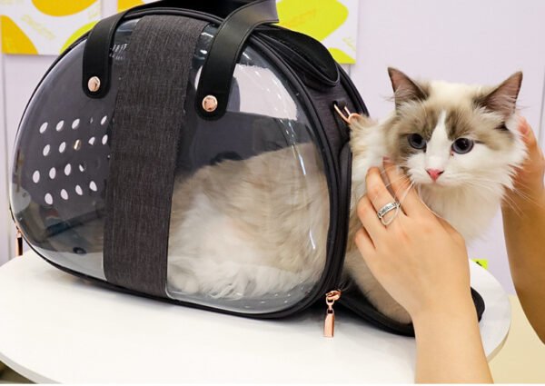 Double Fish Transparent Dog Bag - Image 6