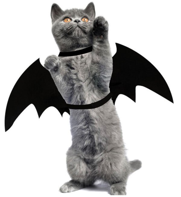 Halloween Costume Pet - Image 5