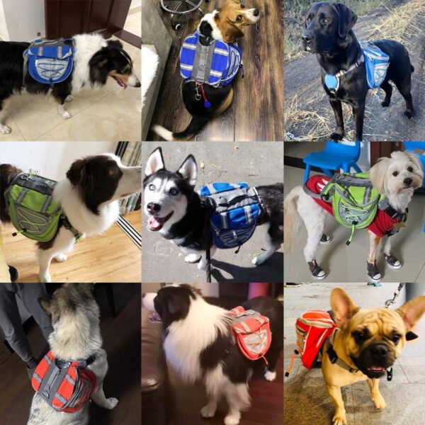 Pets from backpacks - Image 2