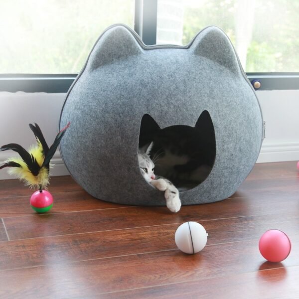 Cat Litter Enclosed