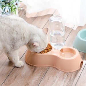 Drinking Water Double Bowl