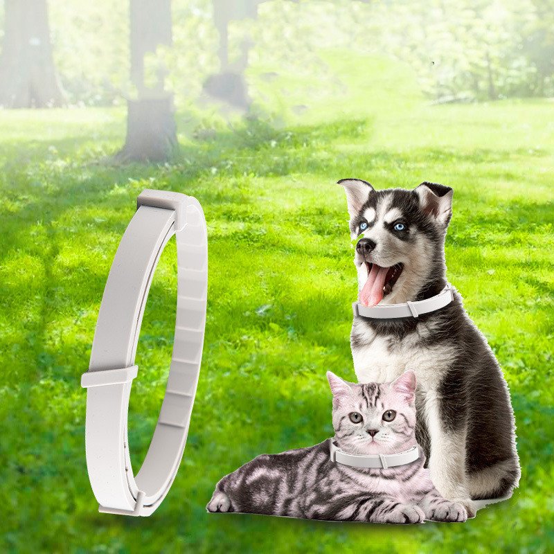 Pet Anti-mosquito Collar Cat Dog Adjustable - Image 3