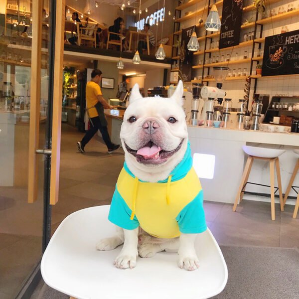 Cute cotton clothes for pets - Image 2