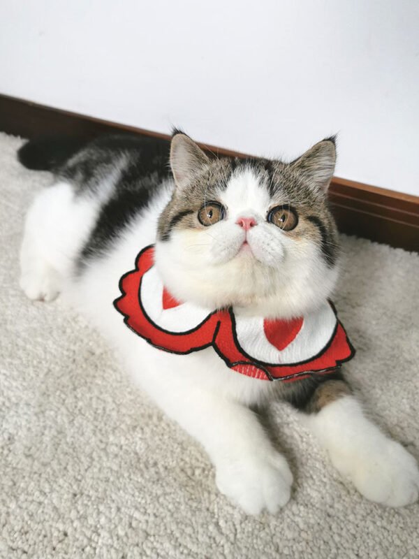 Pet collar - Image 6