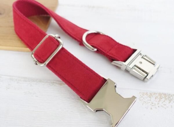 Pet Traction Collar Dog Collar - Image 2