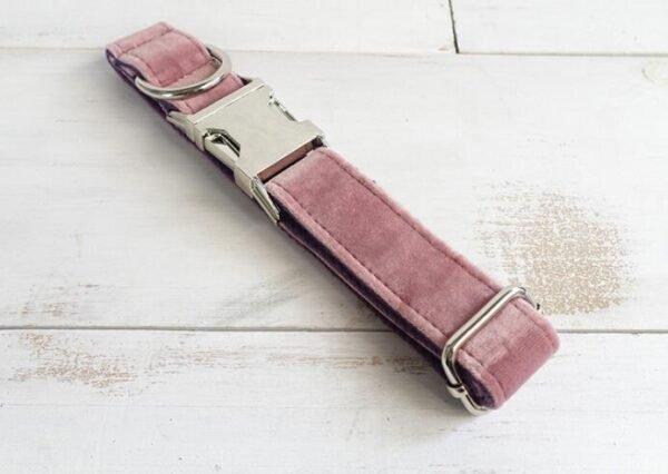 Pet Traction Collar Dog Collar - Image 3