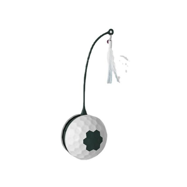 Electric Intelligent Bite Resistant Cat Toys - Image 5