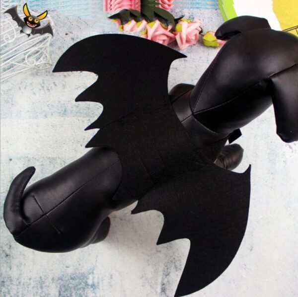 Halloween Costume Pet - Image 3