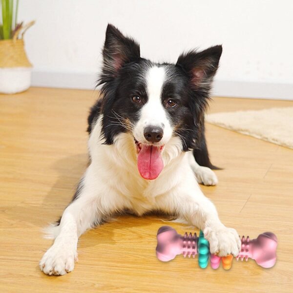 Dog Chew Toy - Image 6