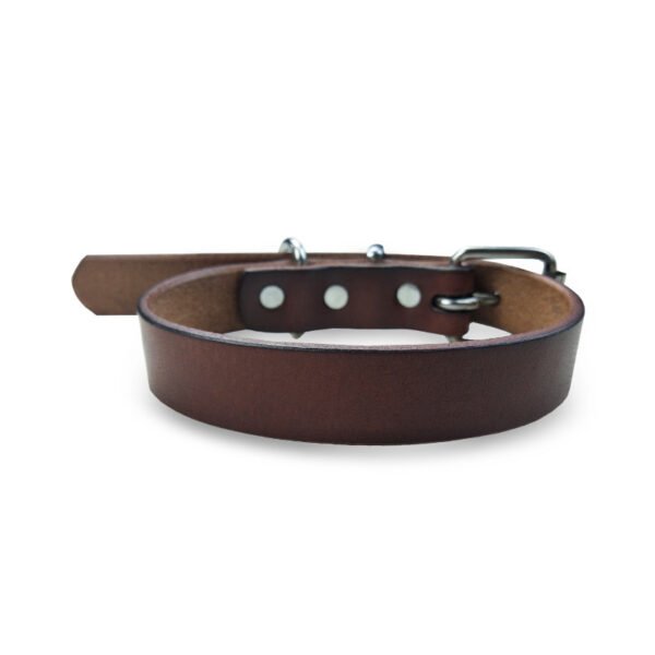 leather collar - Image 2
