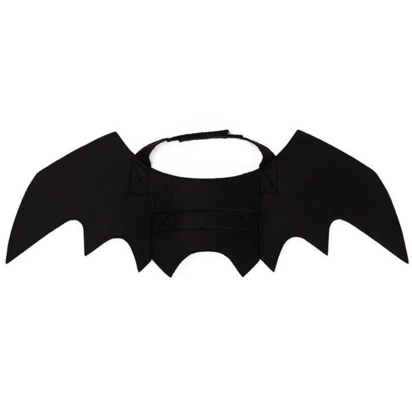Halloween Costume Pet - Image 9