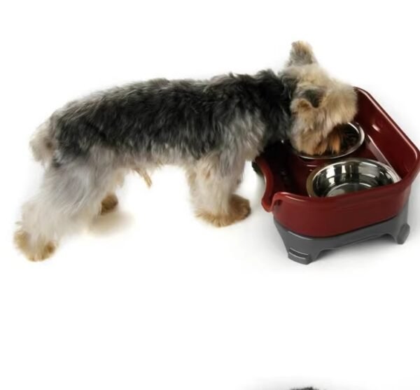 Pet food bowl - Image 10