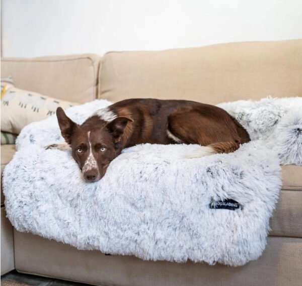 Pet Cushion Pet Rest Cushion - Image 5