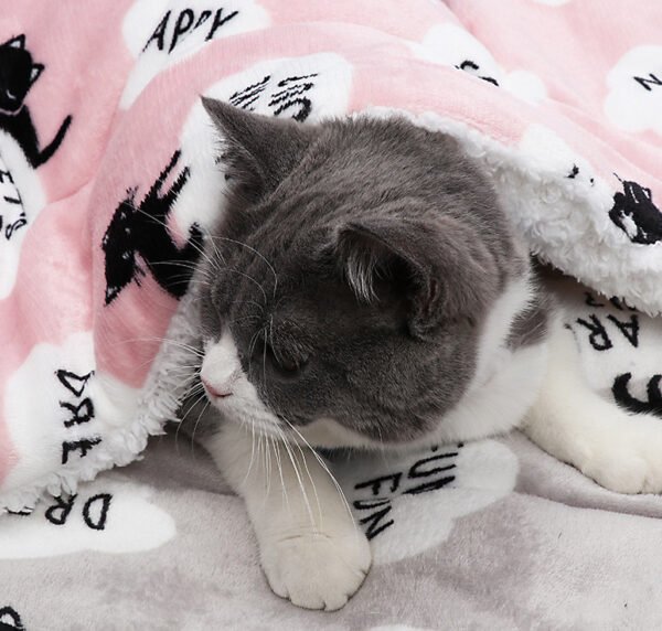 Dogs, Cats, Lambs, Fleece Mat, Pet Blankets - Image 2