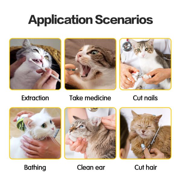 Cat Travel Bag - Image 3