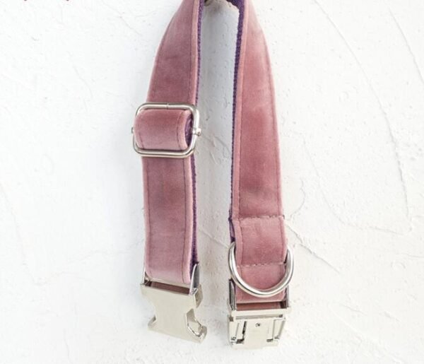 Pet Traction Collar Dog Collar - Image 2