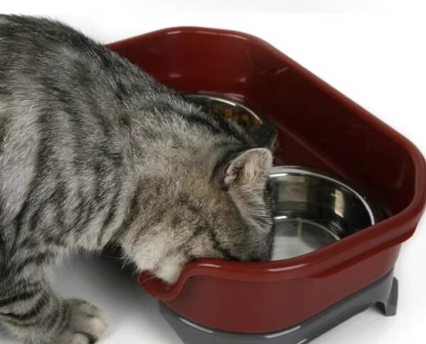 Pet food bowl - Image 8
