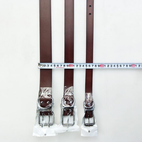 leather collar - Image 5