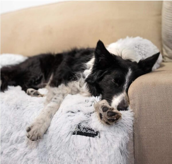 Pet Cushion Pet Rest Cushion - Image 4
