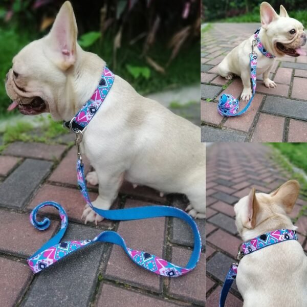 Pet collar - Image 2