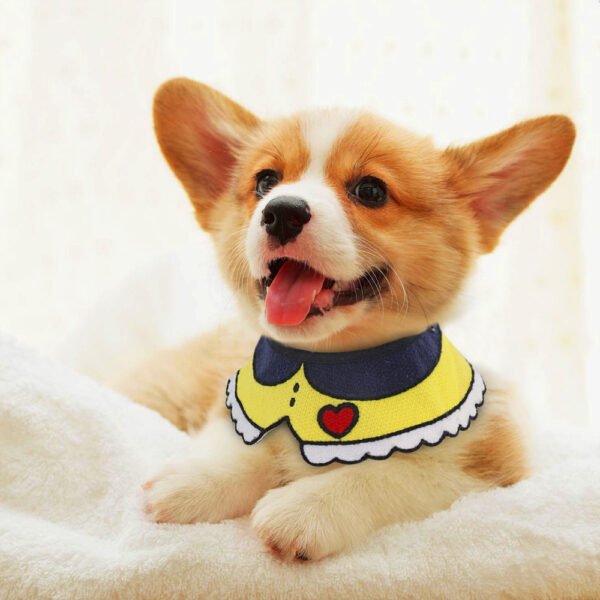 Pet collar - Image 2