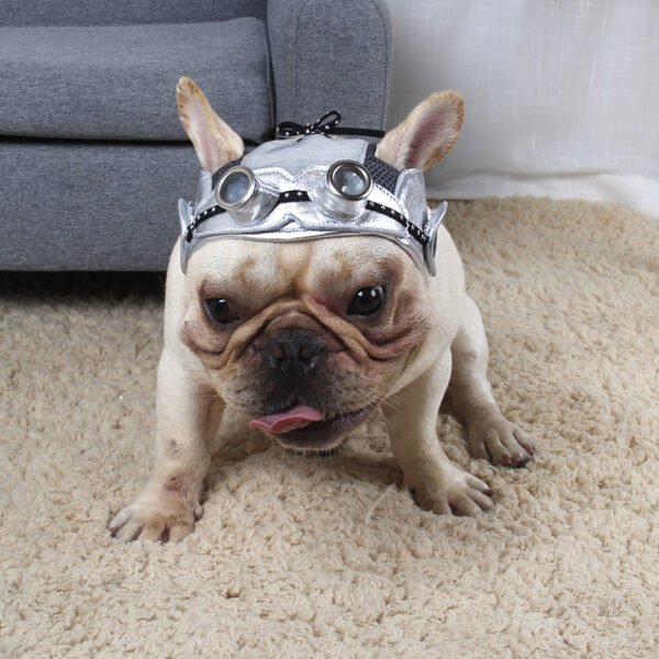 Pet Products Party Dress Fight - Image 5
