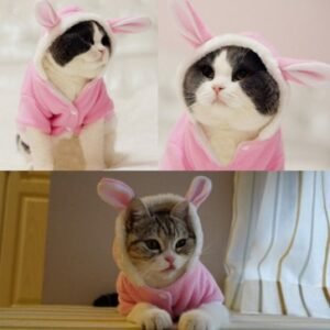 Cat Clothes Mascotas Costume
