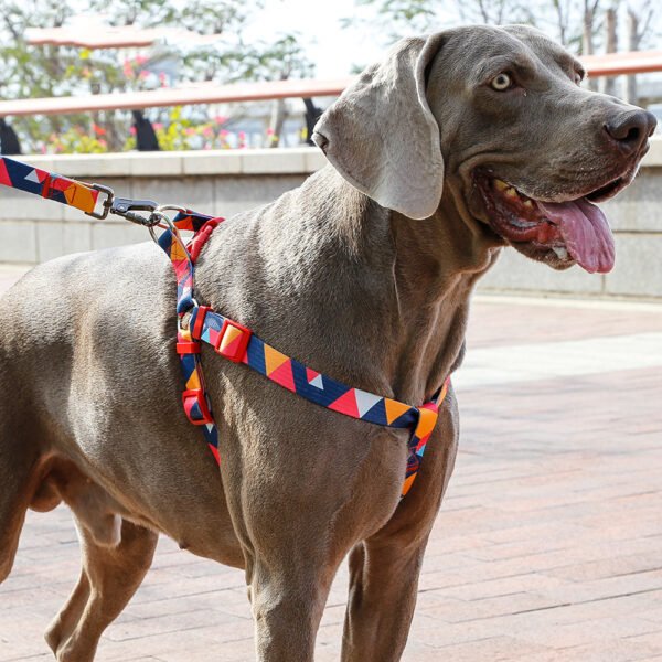 Pet leash collar - Image 2
