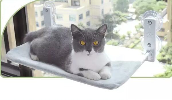 Cat Suction Cup Window Glass Hammock - Image 10