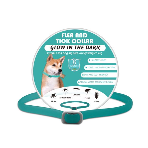 Pets Luminous Insect Repellent Dog Collar - Image 5
