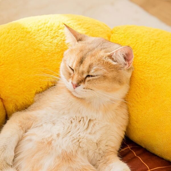 New Cat Nest Mat - Image 2