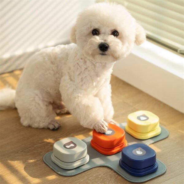4 Colors Pet Communication Button - Image 2