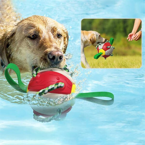 Interactive Dog Football Soccer Ball - Image 5