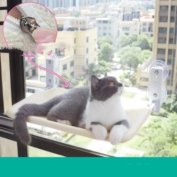Cat Suction Cup Window Glass Hammock - Image 6