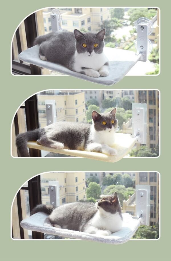 Cat Suction Cup Window Glass Hammock - Image 2